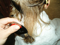 Head Lice | Oblique Hair Spa